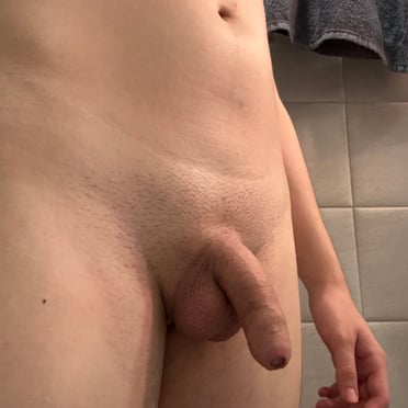 A thick, veiny cock with bushy pubic hair and prominent balls.