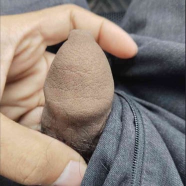 Beautifully thick, dark cock with bushy pubic hair, a real stud in this close-up pic.