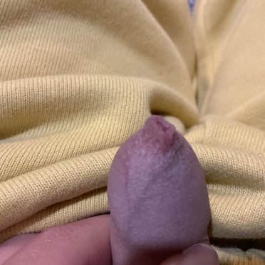 A beautiful, thick dick with slightly hairy pubic skin shown in this American Samoa pic.