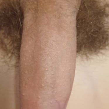 Here is a description for the image:
A beautiful thick cock with bushy pubic hair and prominent balls, a real stunner.
