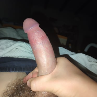 A thick, veiny cock with prominent balls and a hairy bush, a beautiful dick pic.