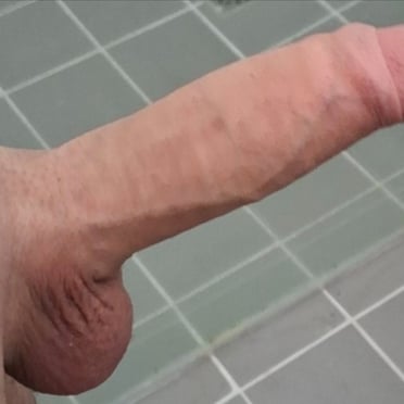 A thick, veiny white cock with prominent balls in this revealing picture.
