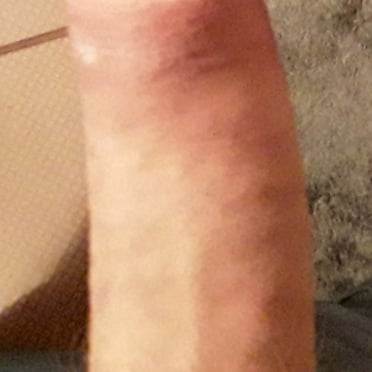 A thick, veiny white cock with light pubic hair is shown in this photo from Austria.