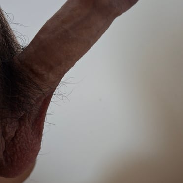 A thick, veiny cock with bushy pubic hair and prominent balls.