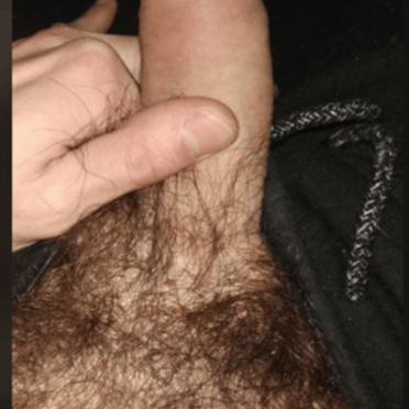 Here is a beautiful, thick, veiny cock with a bush of hairy pubes in this pic.