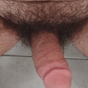 A thick, juicy cock with a hairy bush is featured in this dick pic.