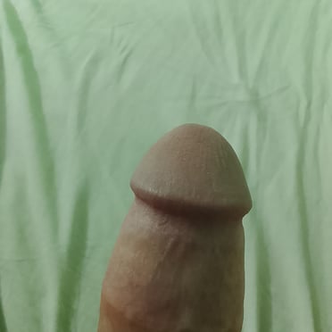 A smooth, thick uncut cock with prominent veins, a beautiful specimen.