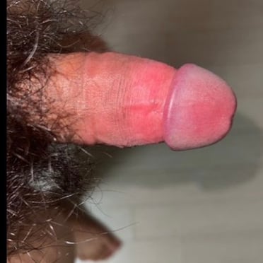 A beautiful, veiny cock with abundant pubic hair.