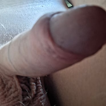 Beautifully thick and veiny cock with hairy balls, perfect for your gay porn pics.