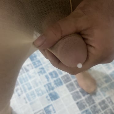 A beautiful, juicy cock with prominent balls, partially revealed through sheer fabric.