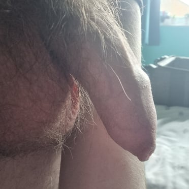 Close-up pic of a thick, hairy cock and balls ready for action.