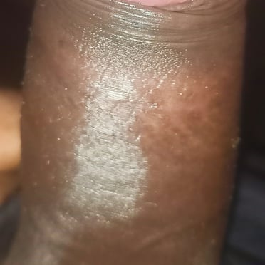 A beautiful, wet, dark dick with a thick, hairy bush.