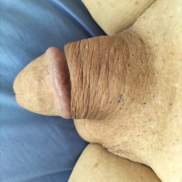 A clean-shaven, thick cock with prominent veins and a beautiful head, pic.
