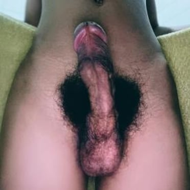 A thick, dark-skinned dick with a bushy pubic hair halo is presented in this Taiwan pic.