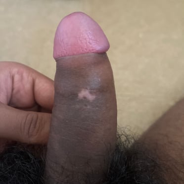 A beautiful, thick black cock with bushy pubic hairs, pic.