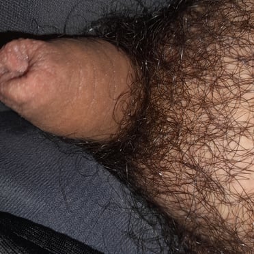 Beautiful thick cock with a bushy pubic hair bush, hot pics.