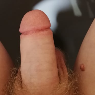 This beautiful, thick white cock has bushy pubic hair and prominent balls.