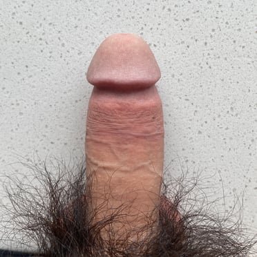 A beautiful, thick white dick with a full bush of dark pubic hair, uncut and 14cm long.