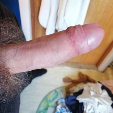 Beautifully veiny dick pic with thick pubic hair.
