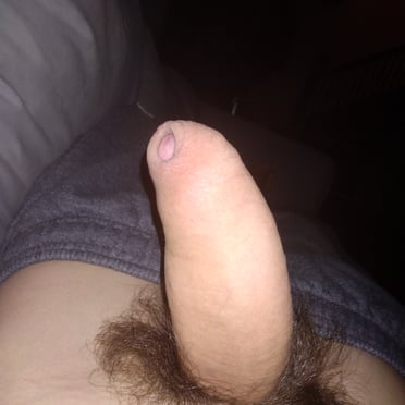 Juicy white cock with thick, bushy pubic hair, beautiful pic.