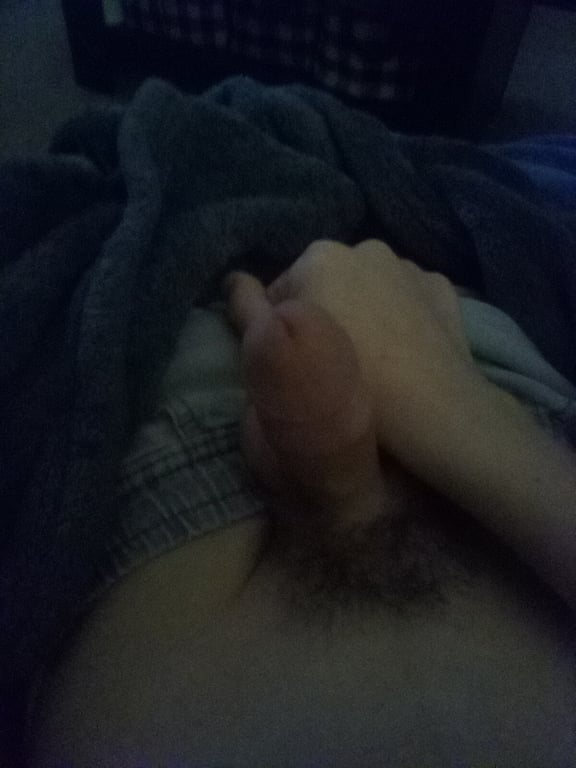 Closeup photo of a beautiful, juicy cock with thick pubic hair, held by a tanned hand.