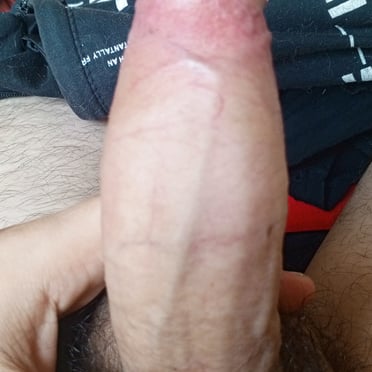 A beautiful, thick, veiny cock and hairy balls, a perfect dick pic.