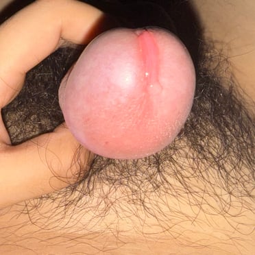 Close-up pic of a thick, hairy Korean cock head.