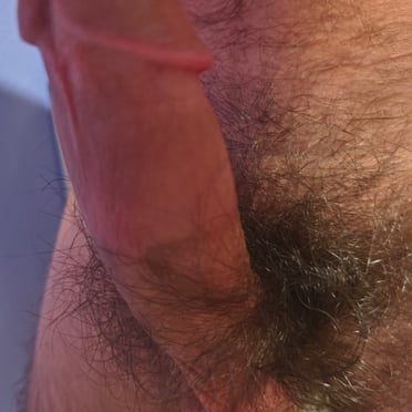 A beautiful, thick white cock with bushy pubic hair, showing off its smooth skin and impressive size in this American pic.