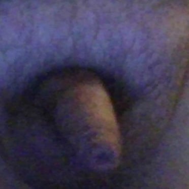 This picture shows a beautiful, thick cock with minimal pubic hair.