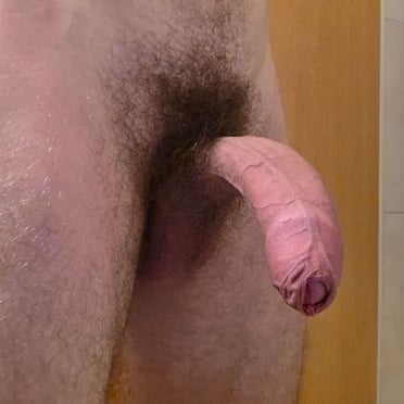 Here is a single sentence description for the image:
A beautifully veiny, thick cock with bushy pubic hair is displayed in this uncut dick pic.