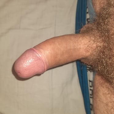 Beautiful thick cock with hairy balls and bush, a truly juicy pic.