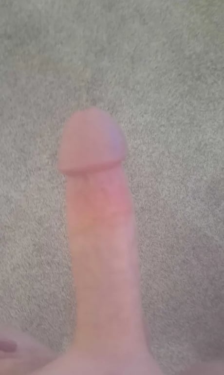 Beautifully veiny and thick cock pic, around 6 inches of pure pleasure.