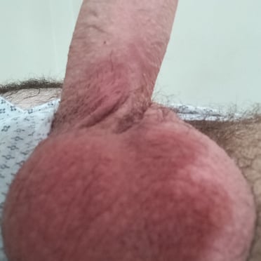 A beautiful, thick, veiny cock with large red balls and a hairy bush.