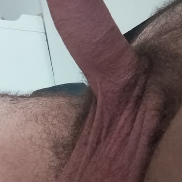 A juicy, thick dick with hairy balls.