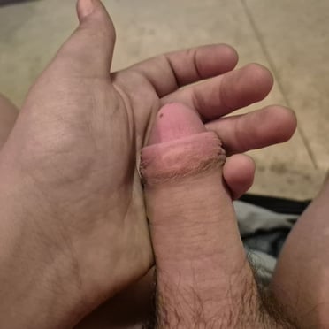 A beautiful, thick, uncut cock with hairy pubes, ready for action, pics.
