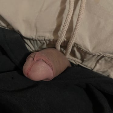 A beautiful, small, pink dick with clean-shaven pubic hair is featured in this pic.