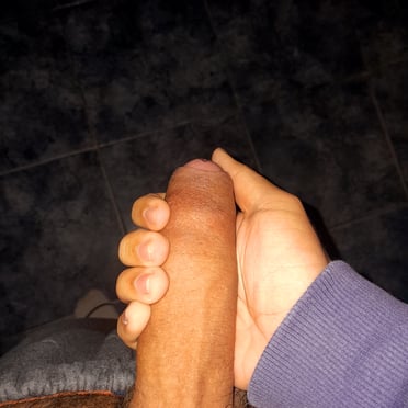 A beautiful, thick, veiny cock with a bush of dark pubic hair, perfect for a hot pic.