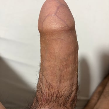 Beautifully veiny and thick cock pic with hairy pubic hair.