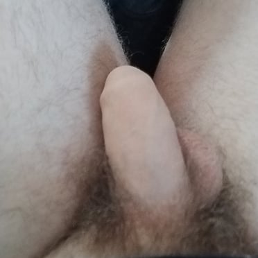 Here is a beautiful, fat, bushy cock with full balls, a hot pic.
