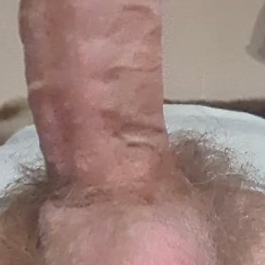 A thick, veiny cock with full balls and bushy pubic hair is featured in this intimate pic.