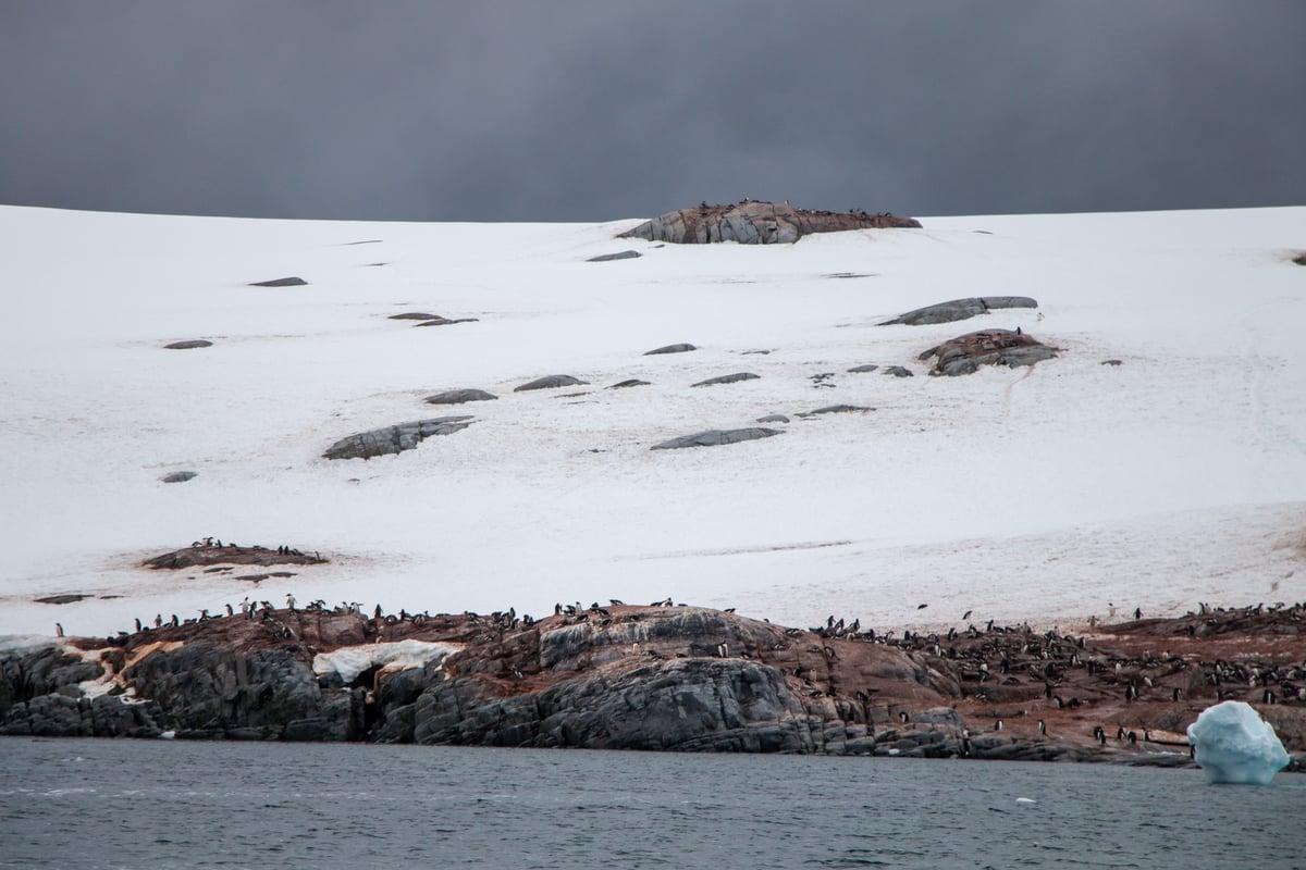 Antarctica, Edge of the World, Antarctica - photo 2