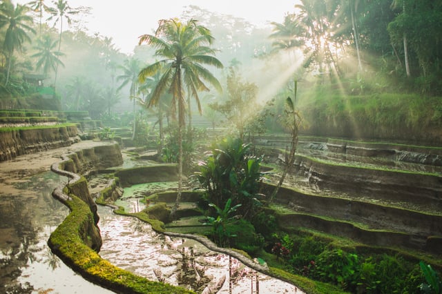Solo Reset in Bali, Bali, Indonesia