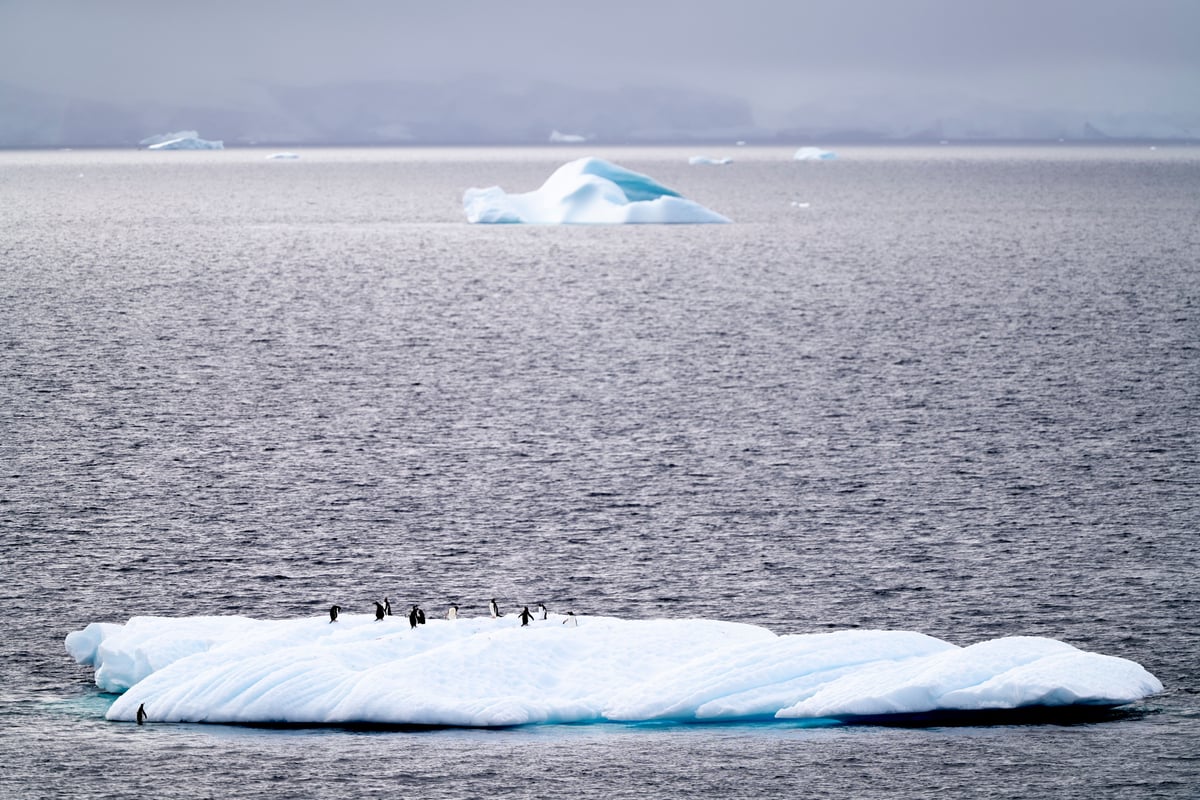 Antarctica, Edge of the World, Antarctica - photo 5