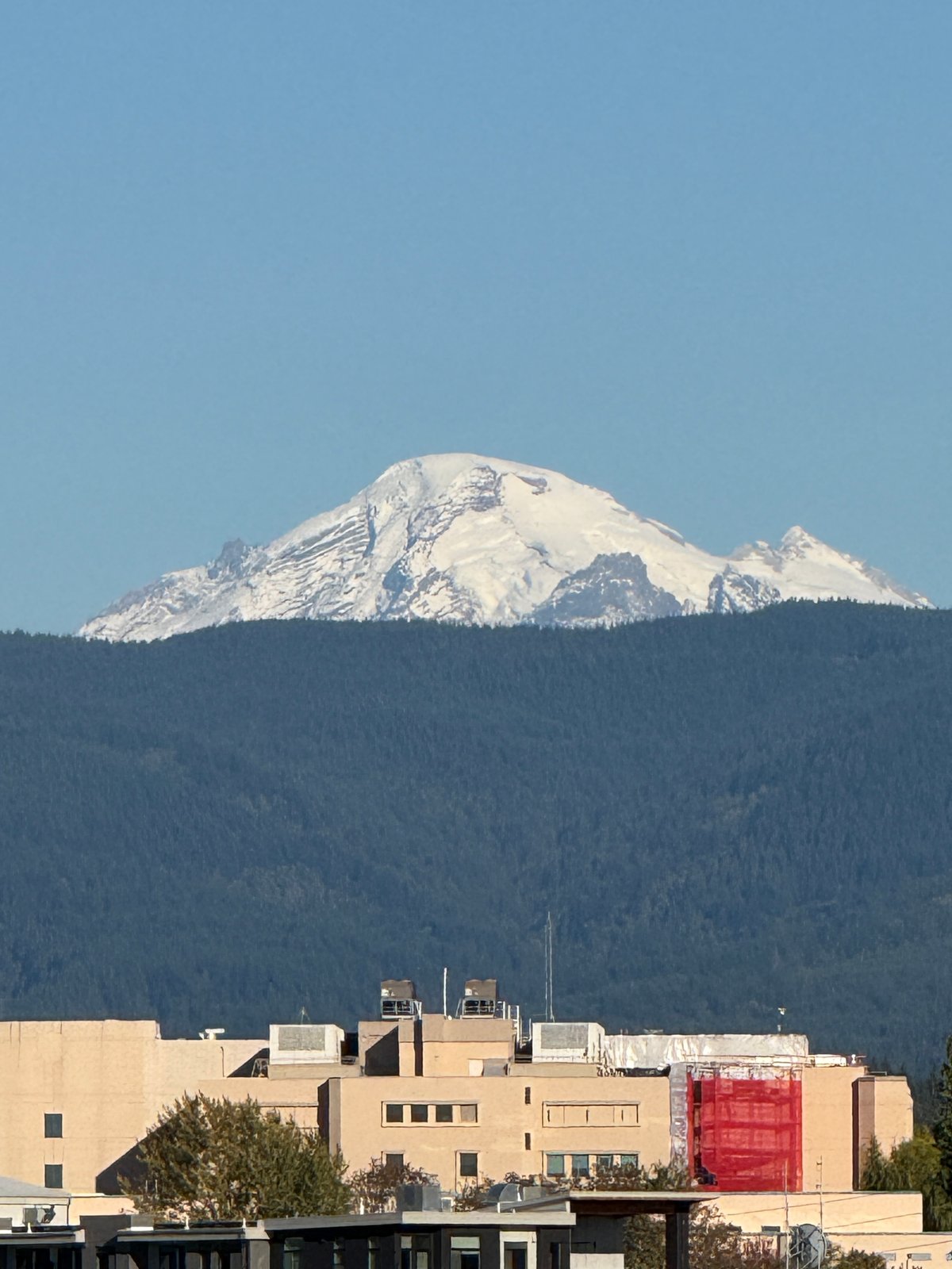 Snow-capped Mount Shasta rises behind a dense evergreen forest and a tan institutional building with a red panel under clear blue sky.