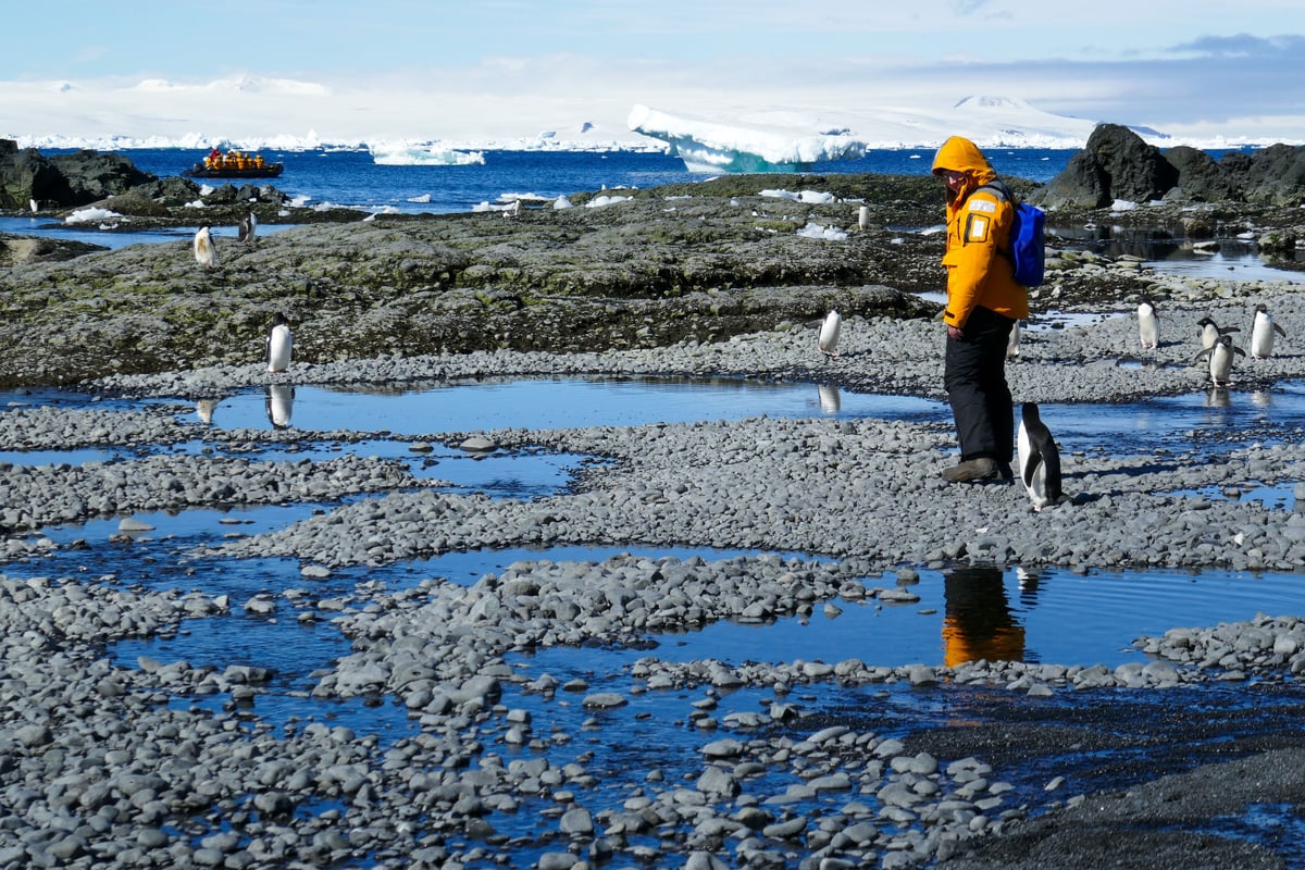 Antarctica, Edge of the World, Antarctica - photo 6