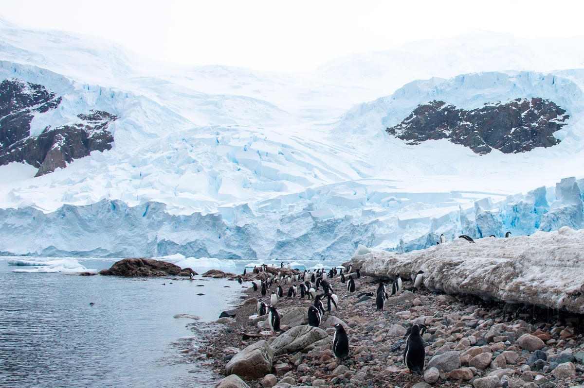 Antarctica, Edge of the World, Antarctica - photo 3