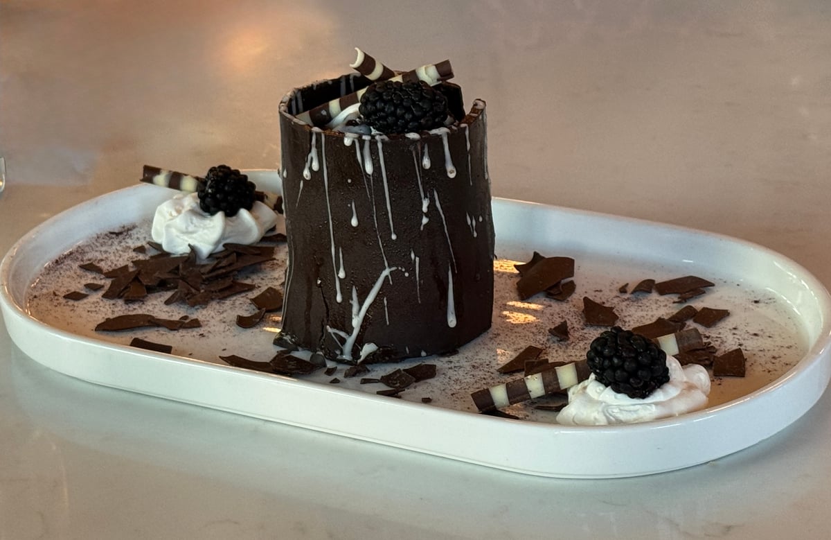 An elegant chocolate dessert platter featuring a tall layered chocolate cake with drip glaze, white chocolate wafer cookies, blackberries, whipped cream, and chocolate shards arranged on a white oval dish.