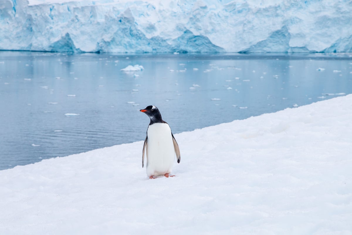 Antarctica, Edge of the World, Antarctica - photo 4