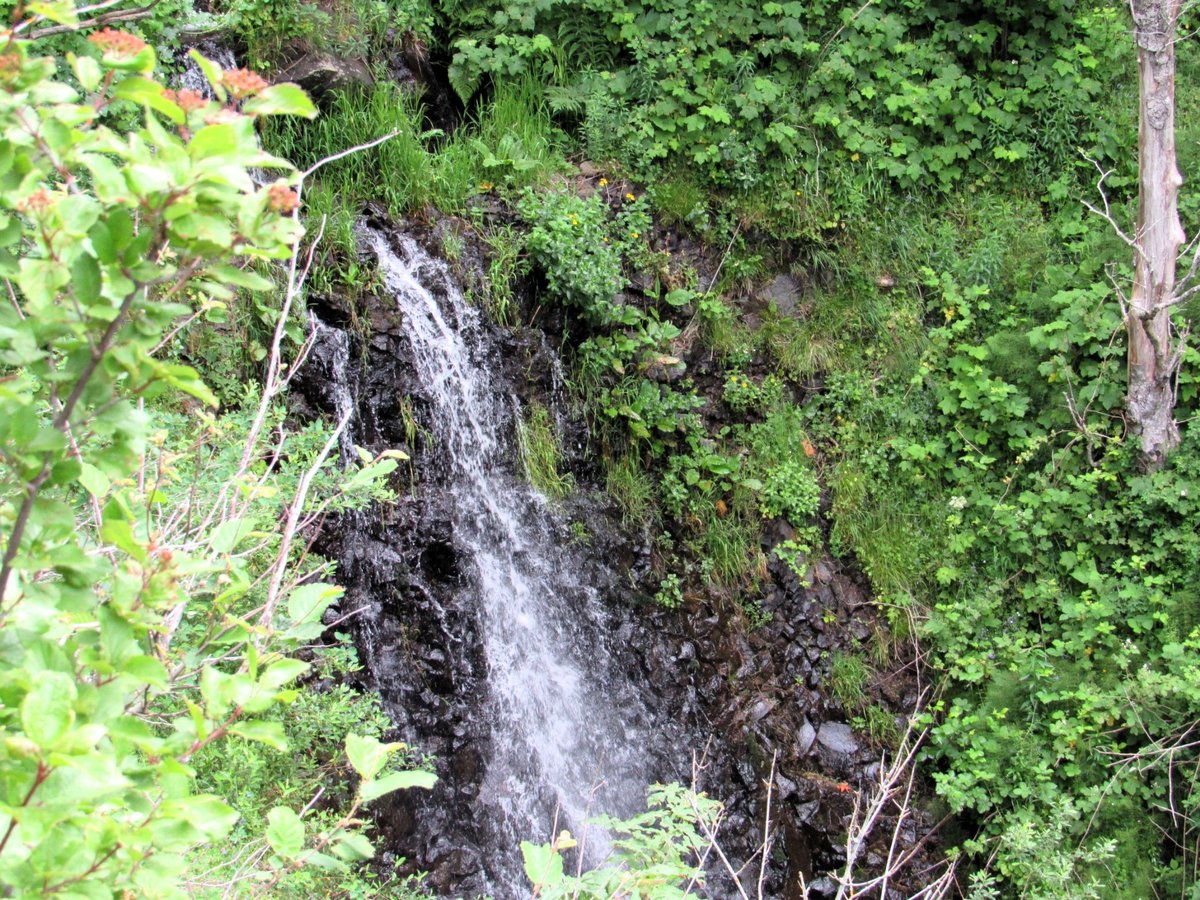 A narrow waterfall cascades down dark moss-covered rocks surrounded by lush green forest vegetation.