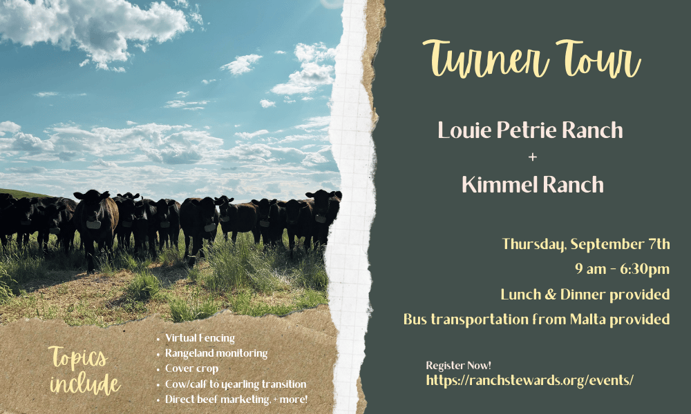 Turner Tour
